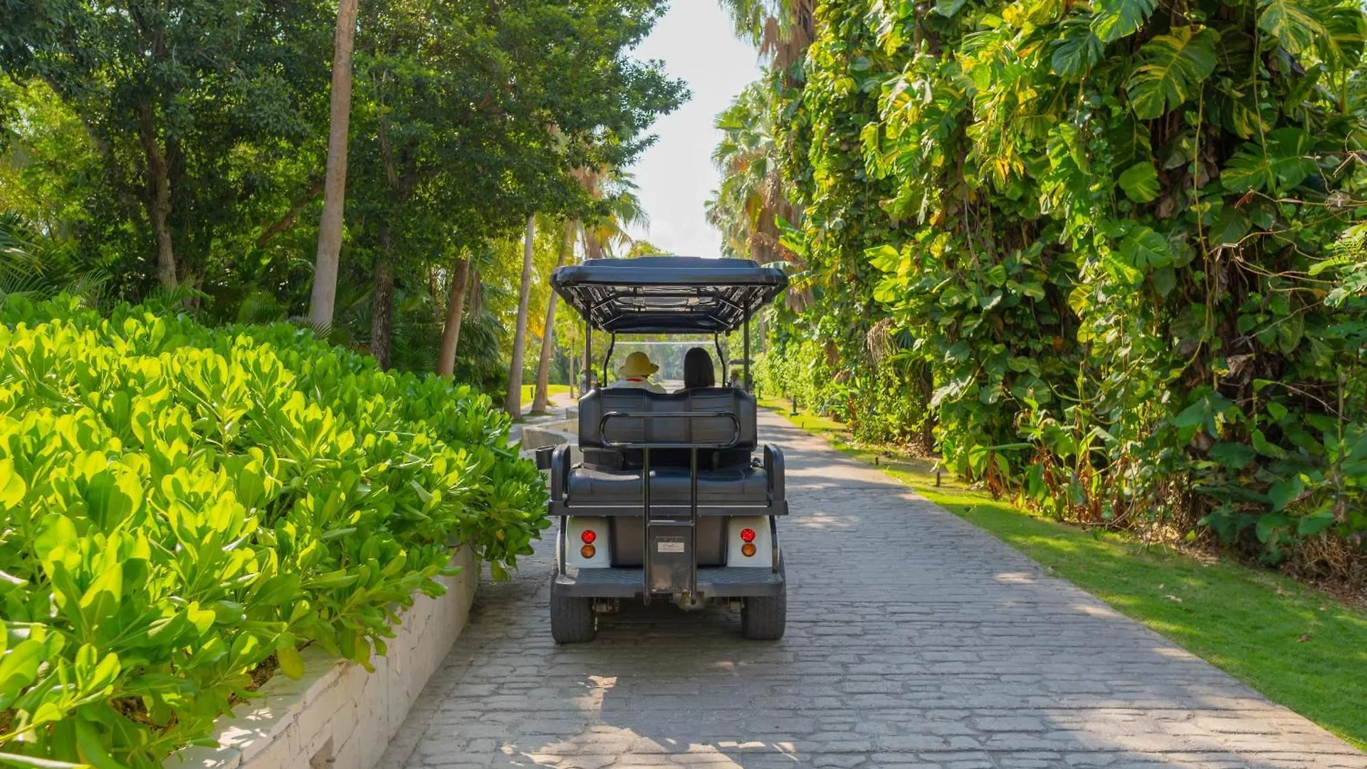 The Sens Tulum Riviera By Oasis Hotel Akumal